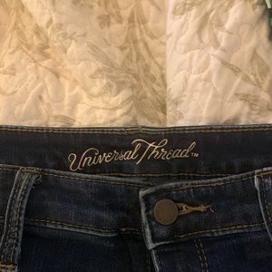 Universal Thread Size 12 Skinni Jeans